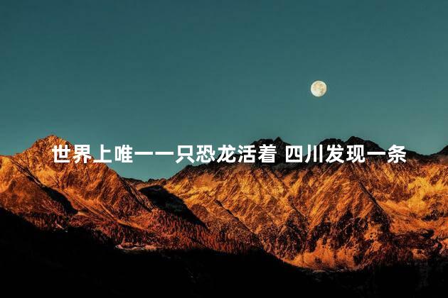 世界上唯一一只恐龙活着 四川发现一条幼龙